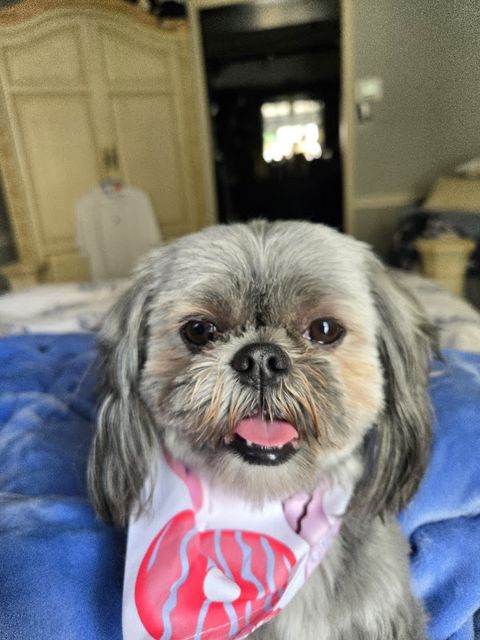 Photo shared with Melanie L.’s Google review