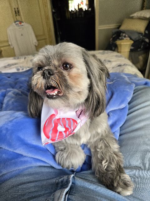 Photo shared with Melanie L.’s Google review