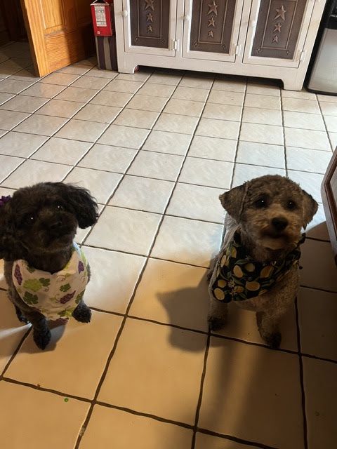 Photo shared with Sandy Y.’s Google review