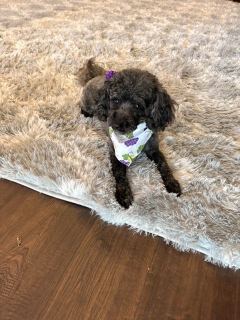Photo shared with Sandy Y.’s Google review